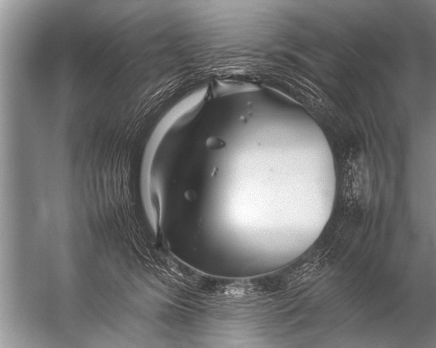 X0000057060420200510010112