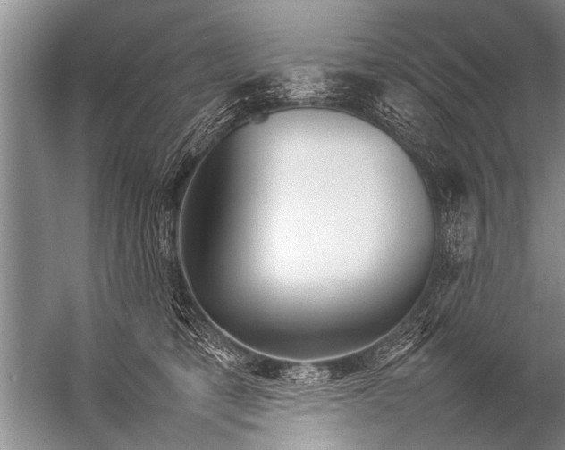 X0000057060421200510010112