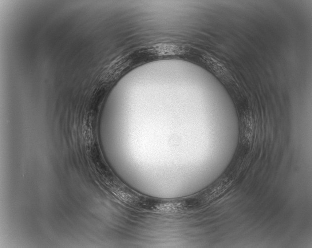 X0000057060422200510010112