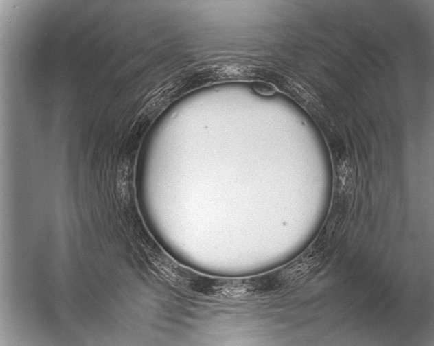 X0000057060423200510010112