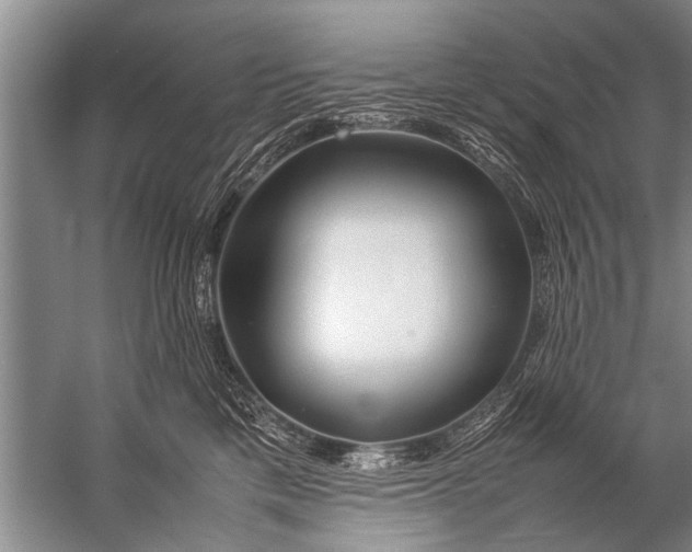 X0000057060425200510010112