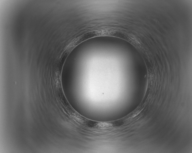 X0000057060429200510010112