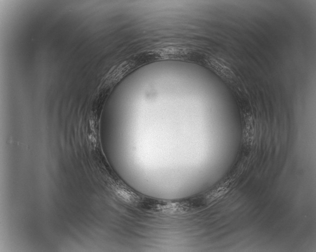 X0000057060430200510010112