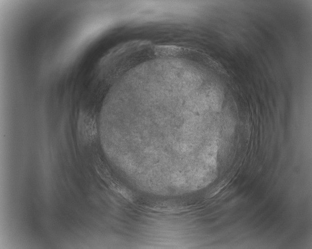 X0000057060431200510010112