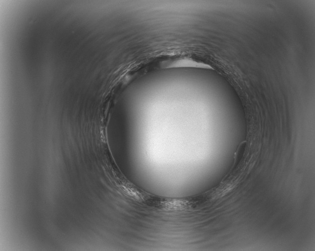 X0000057060432200510010112