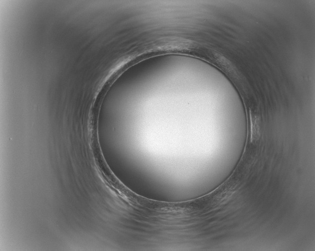 X0000057060435200510010111