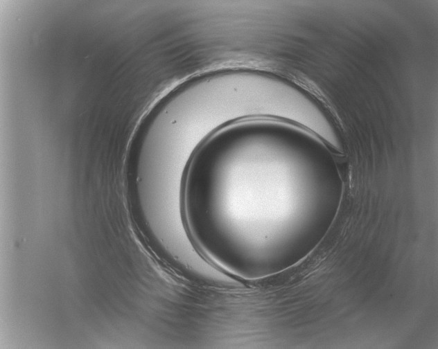 X0000057060436200510010111