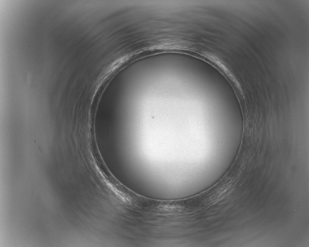 X0000057060437200510010111