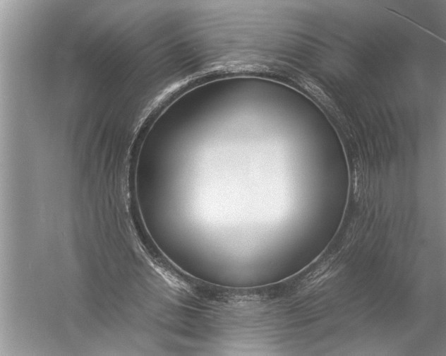 X0000057060438200510010111