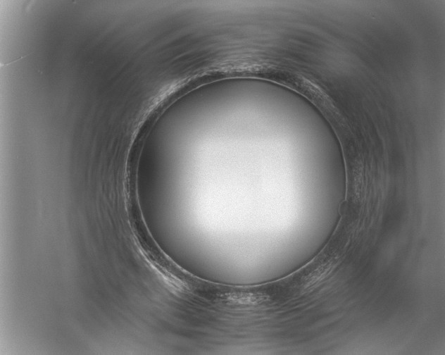 X0000057060439200510010111