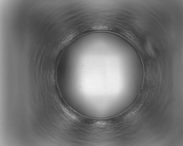 X0000057060441200510010111