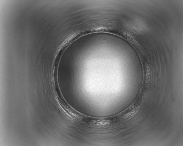 X0000057060443200510010111