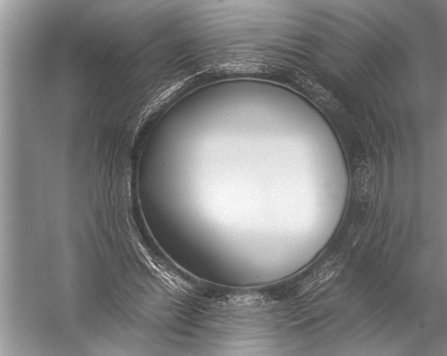 X0000057060446200510010111