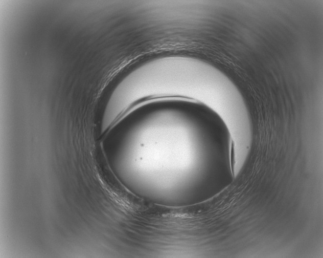 X0000057060448200510010111