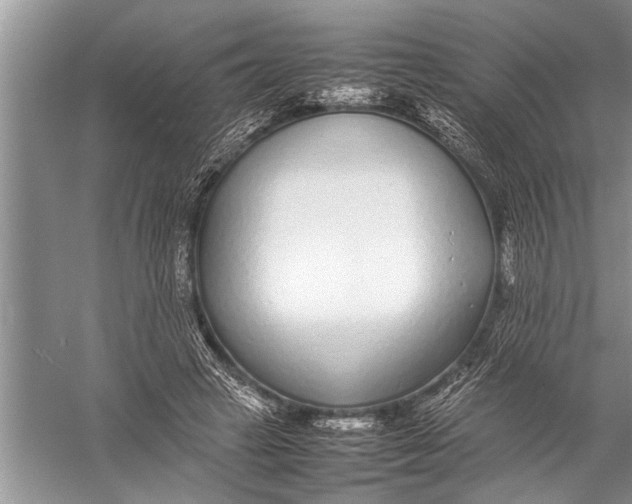 X0000057060449200510010111