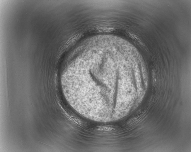 X0000057060451200510010111