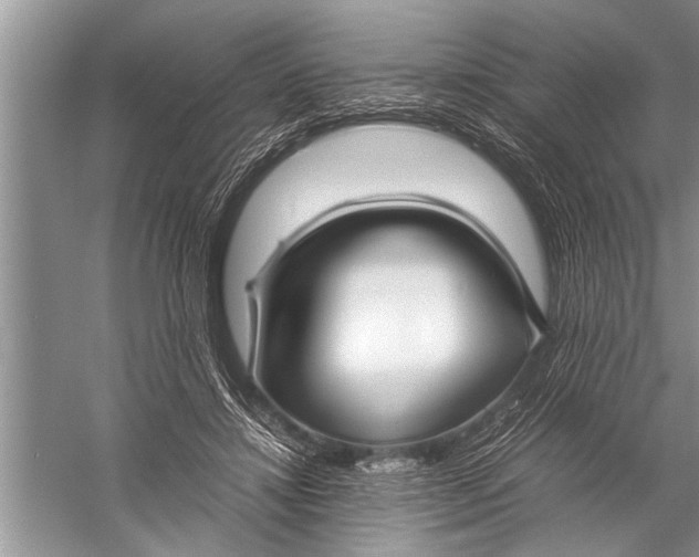 X0000057060452200510010112