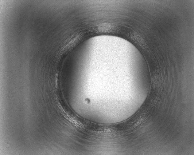 X0000057060454200510010112