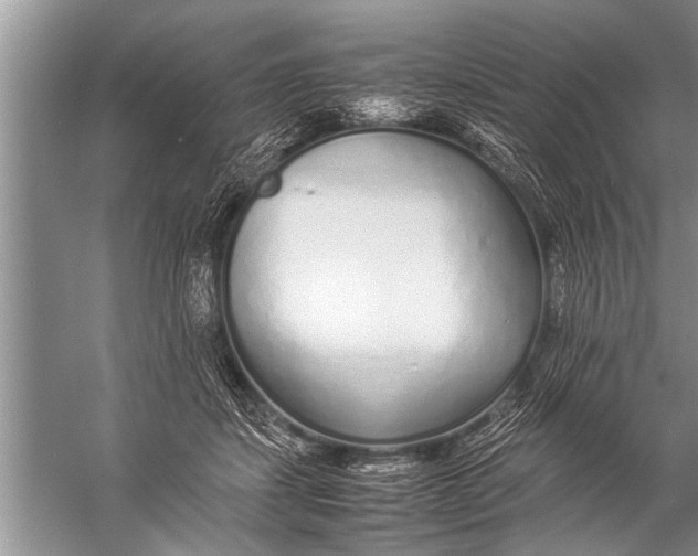 X0000057060459200510010112