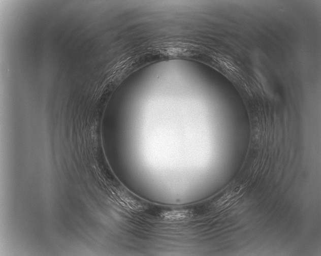 X0000057060461200510010112