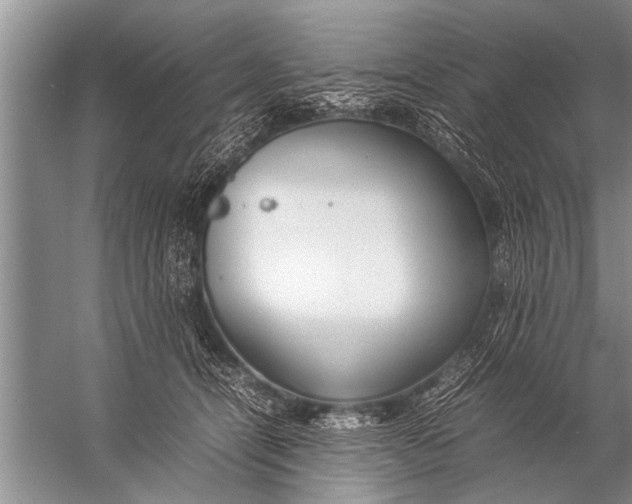 X0000057060464200510010112