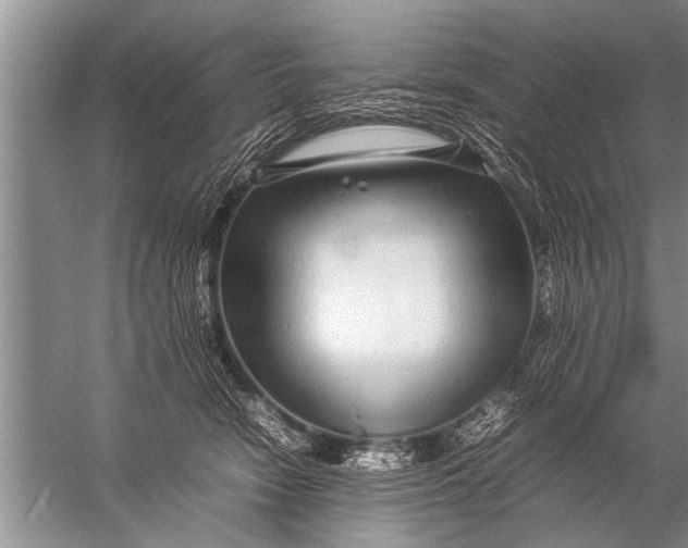 X0000057060466200510010112