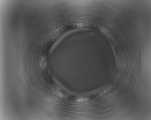 X0000057060471200510010112