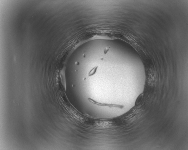 X0000057060476200510010112