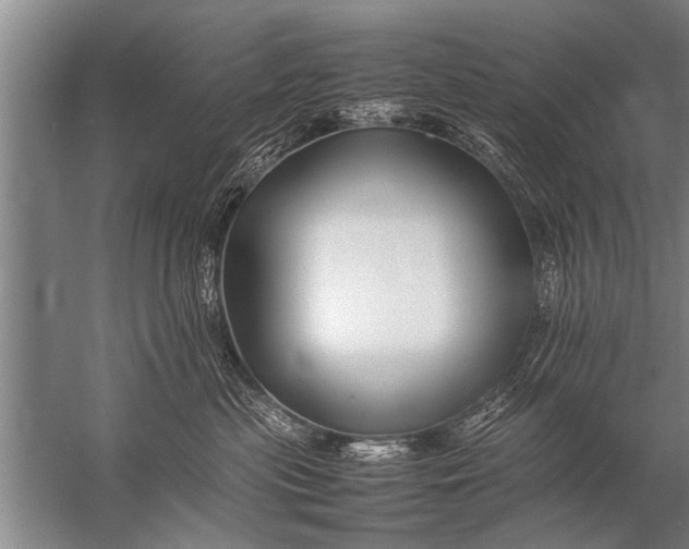 X0000057060477200510010112