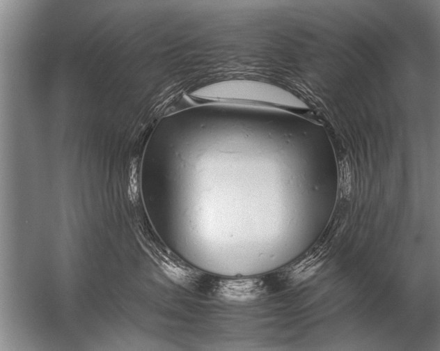 X0000057060479200510010112