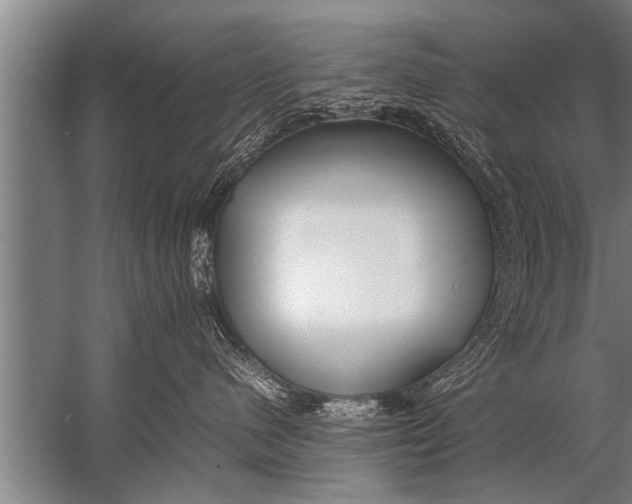 X0000057060480200510010112