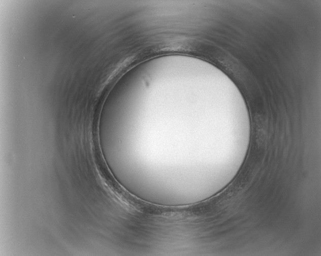 X0000057060482200510010111