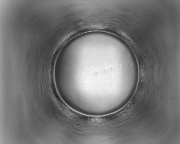 X0000057060487200510010111