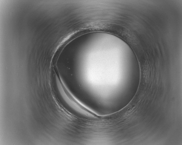 X0000057060488200510010111