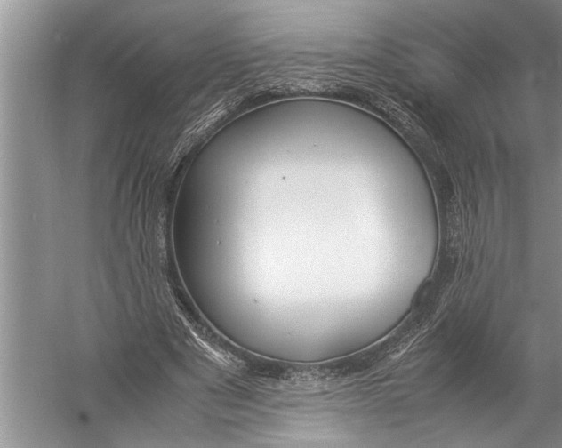 X0000057060489200510010111