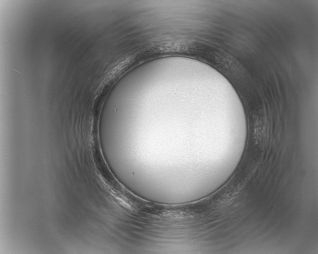 X0000057060490200510010111