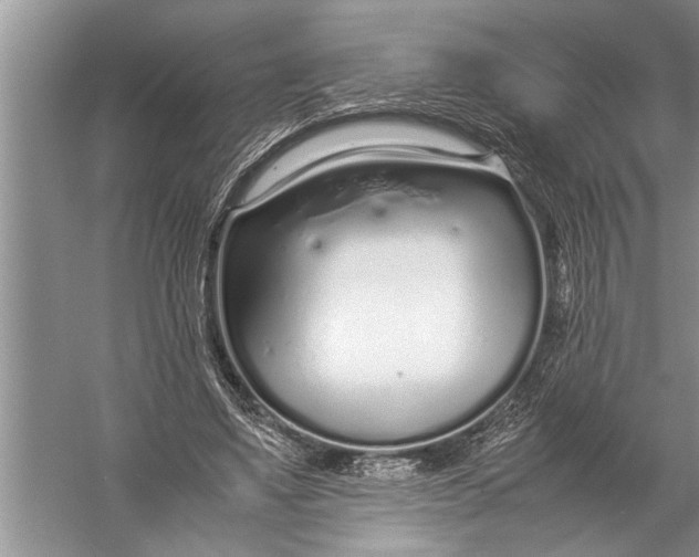 X0000057060491200510010111