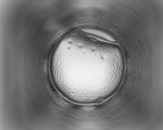 X0000057060495200510010111