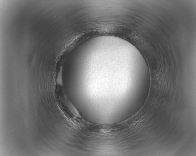 X0000057060496200510010111