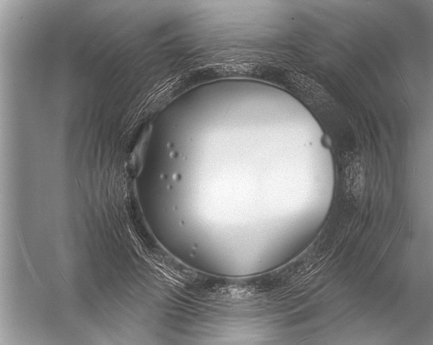 X0000057060498200510010111