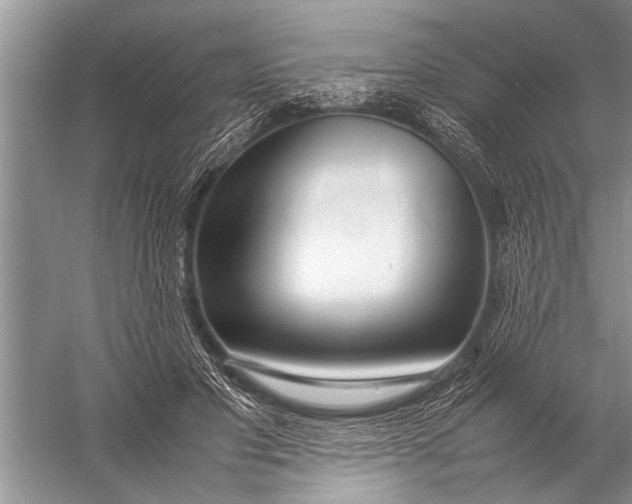 X0000057060501200510010111