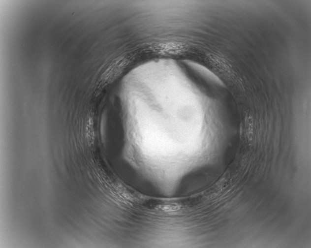 X0000057060506200510010111