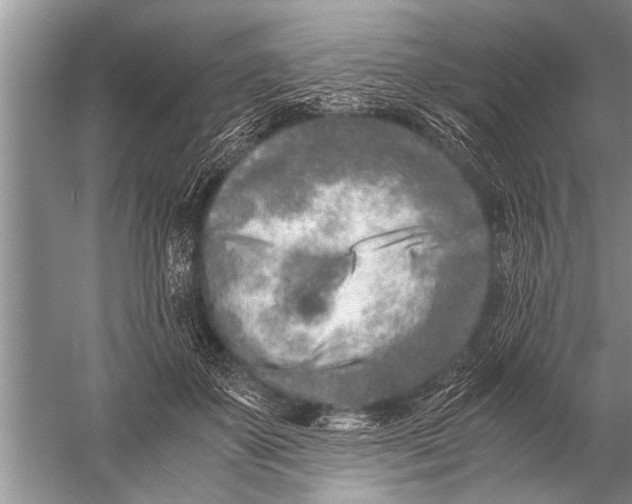 X0000057060507200510010111