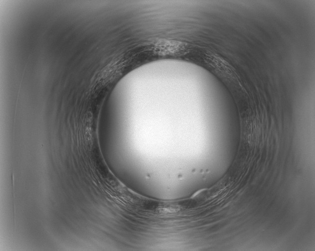 X0000057060510200510010111