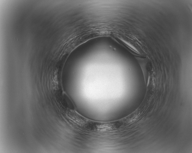 X0000057060516200510010111