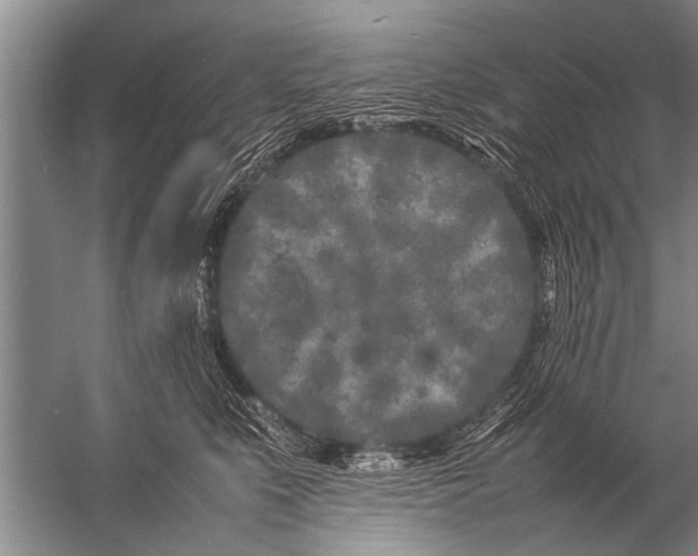 X0000057060519200510010111