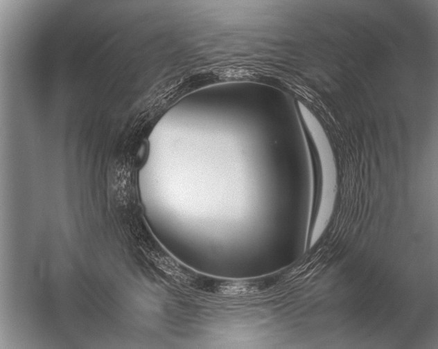 X0000057060521200510010110