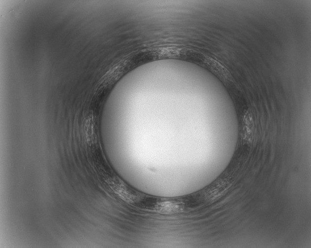 X0000057060522200510010110