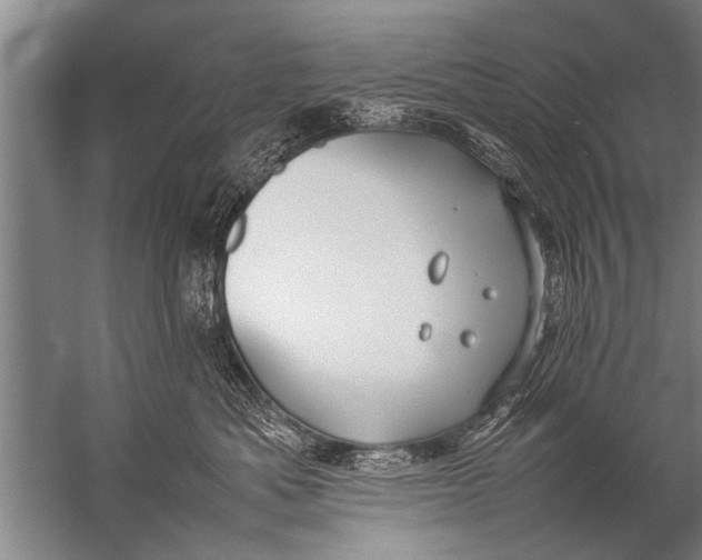 X0000057060525200510010110