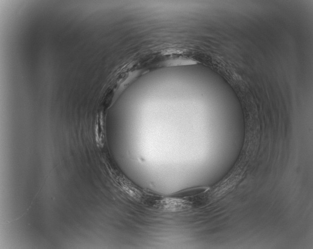 X0000057060528200510010110